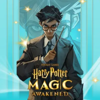 Harry Potter Magic Awakened